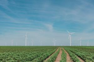 Wind turbines in a field on a sunny day