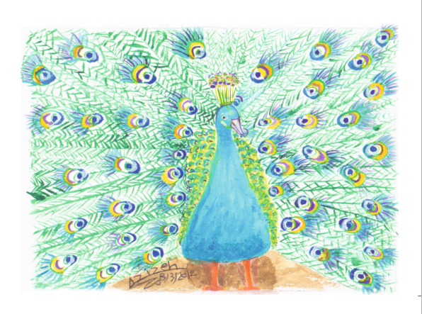 Peacock card